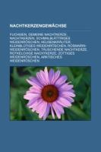 Nachtkerzengewächse