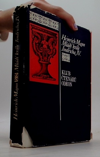 Mládí krále Jindřcha IV.