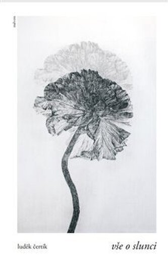 Vše o slunci