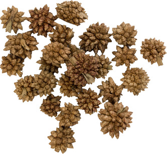 Dekorace - Star Flower - 250 g