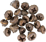 Dekorace - Eucalyptus Pod - 250 g