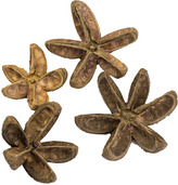 Dekorace - Bullet flower 50 ks