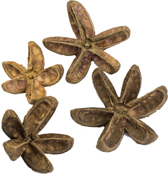 Dekorace - Bullet flower 50 ks