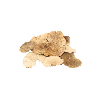 Dekorace - Sponge mushroom natural 10-15 cm 2 ks