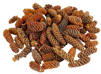 Dekorace - Birch pine (šišky) 250 g