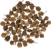 Dekorace - Casurina 250 g