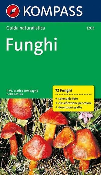 Funghi