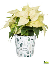 Obal 778 Green Goblin mat 16