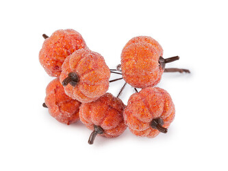 Umělé dýně v ledu, na drátku - 6 ks - oranžová