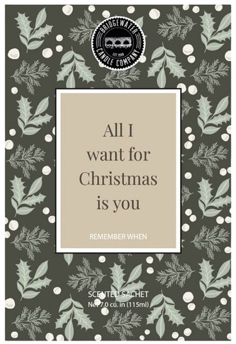 Vonný sáček All I Want