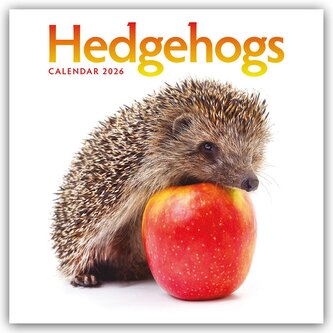 Hedgehogs - Igel 2026 - Wand-Kalender