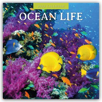 Ocean Life - Leben im Ozean 2026 - 16-Monatskalender