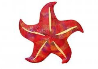 Poduszka pluszowa rozwgwiazda czerwona 45cm