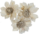 Dekorace - Sola Folded Star Protea 6 cm - 50 ks