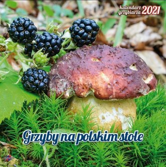 Kalendarz 2021 KAD-6 Grzybiarza AVANTI