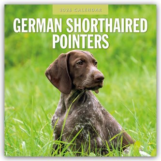 German Shorthaired Pointers - Deutscher Kurzhaar - Deutscher Kurzhaariger Vorstehhund 2026 - 16-Monatskalender