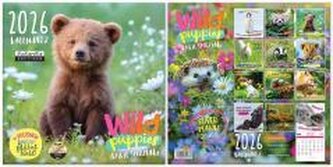 Kalendarz 2026 ścienny Classic Wild Puppies