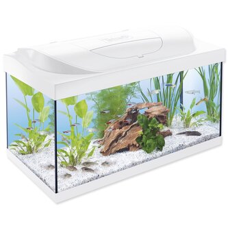 Akvarijní set Tetra Starter Line LED bílá 60x30x30cm 54l Akvarijní set Tetra Starter Line LED bílá 60x30x30cm 54l