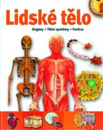 Lidské tělo: Orgány · Tělní systémy · Funkce