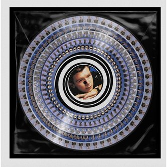 Never Gonna Give You Up - LP