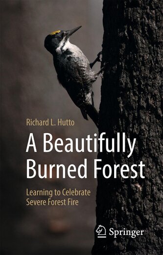 A Beautifully Burned Forest