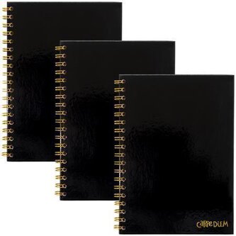 Spirálový sešit "Carpe Diem", černá, B5, linkovaný, 80 listů, FSC, PUKKA BAD 9375-CD