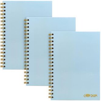 Spirálový sešit "Carpe Diem", nebesky modrá, B5, linkovaný, 80 listů, FSC, PUKKA BAD 9378-CD