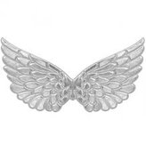 Srebrne skrzydła