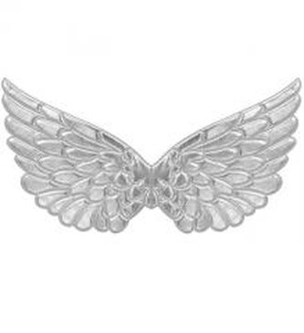 Srebrne skrzydła