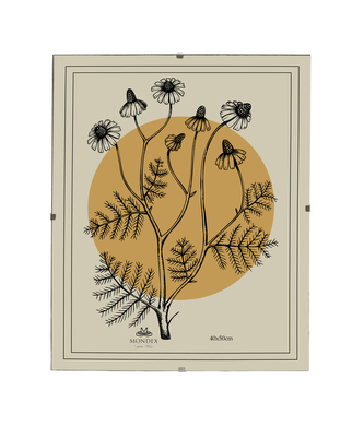 ADI Ramka 40x50cm Antyrama