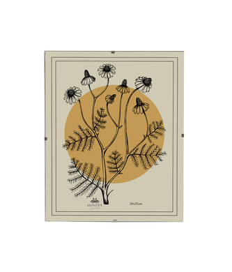 ADI Ramka 20x25cm Antyrama szkło