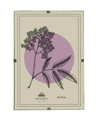 ADI Ramka 50x70cm Antyrama