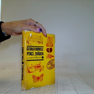 Ptáci zvířata a moji příbuzní