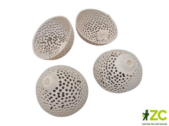 Dekorace - Bell mala semi bleach 2 ks