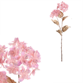 Hortenzie - umělá řezaná, 2 květy, zlaté lístky, růžová