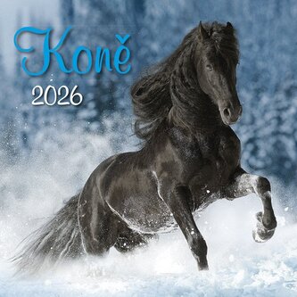 Koně 2026 - nástěnný kalendář