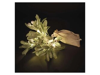 Dekorace vánoční EMOS DCTW29 větvička jmelí