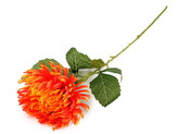 Umělá chryzantéma - 1 ks - 10 oranžová otevřená