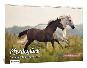 Pferde Kalender 2026 Pferdeglück! Die schönsten Pferdemotive und Aufnahmen 2026