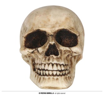 Dekorace lebka resinová 9 x 7 x 6 cm