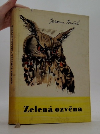 Zelená ozvěna