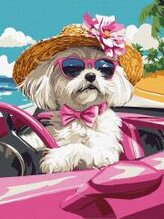 Malowanie po numerach - Różowy samochód 30x40cm