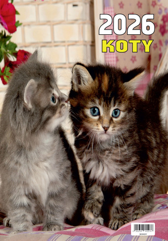 Kalendarz ścienny 2026 13-kartkowy 2026 Koty