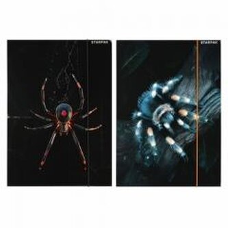 Teczka z gumką A4 Pająk mix Teczka z gumką A4 Pająk mix