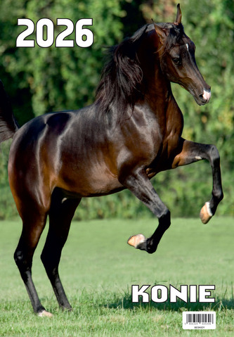 Kalendarz ścienny 2026 13-kartkowy 2026 Konie