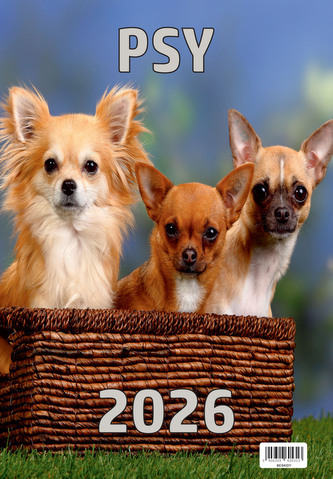 Kalendarz ścienny 2026 13-kartkowy 2026 Psy