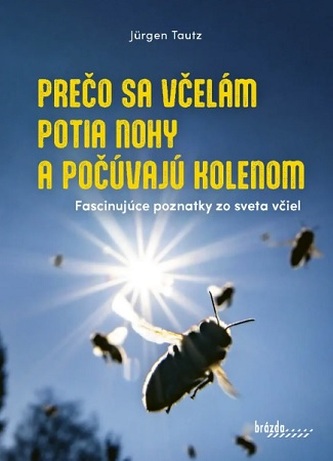 Prečo sa včelám potia nohy a počúvajú kolenom Prečo sa včelám potia nohy a počúvajú kolenom
