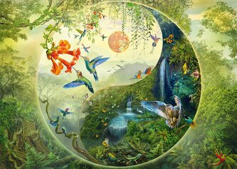 SCHMIDT Puzzle V lese kolibříků 1000 dílků