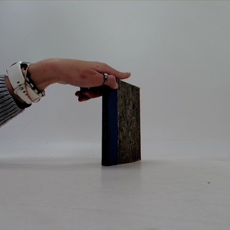 Sen noci štědrovečerní