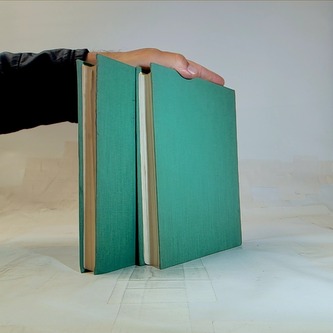 Tři mušketýři po dvaceti letech I-II